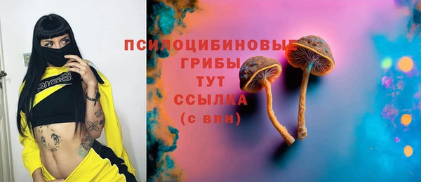шишки Лихославль