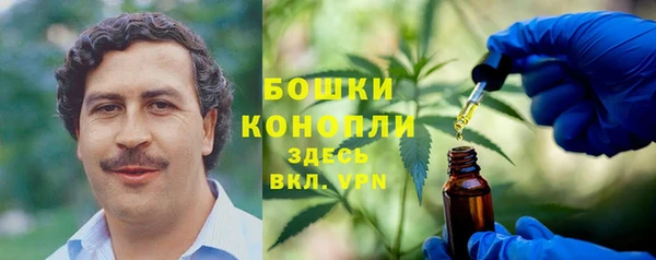 шишки Лихославль
