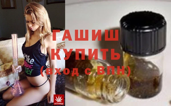 прущие грибы Лабытнанги