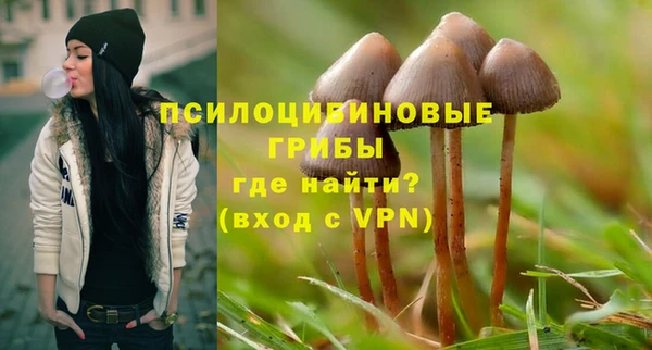 дурь Лиски