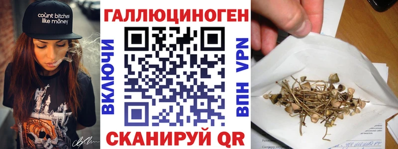 Галлюциногенные грибы Cubensis  МЕГА ссылки  Шимановск  магазин   
