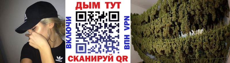 хочу Шимановск Марихуана конопля
